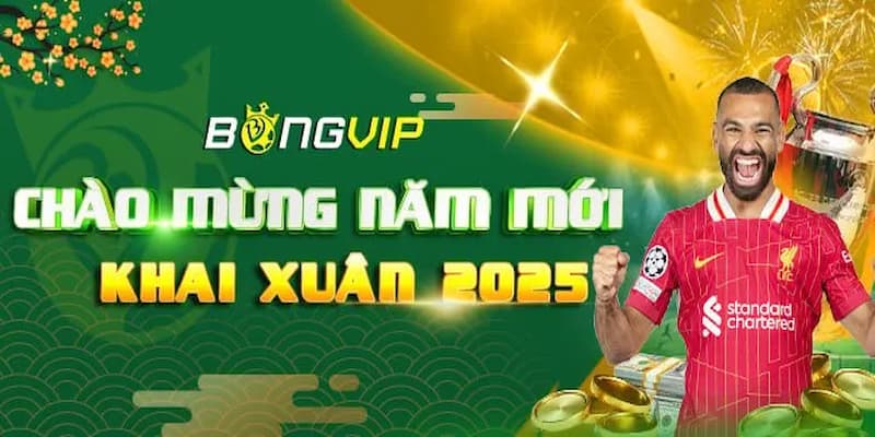 Bongvip - Thương Hiệu Giải Trí Chất Lượng Nhất Châu Á